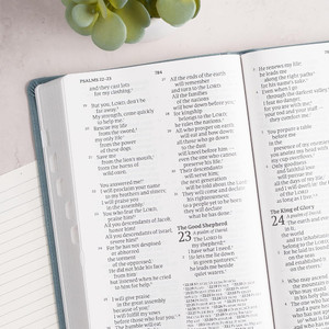 CSB Giant Print Reference Bible, Optimal Type, Digital Study Edition - Case of 12