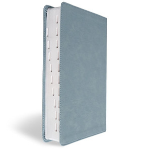 CSB Giant Print Reference Bible, Optimal Type, Digital Study Edition - Case of 12