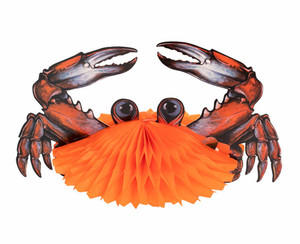 Tidal Pool Tissue Crab - Big Fish Bay VBS 2020 by RBP