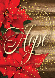 Christmas Cards - Hope is Born Anew (Pack of 12)