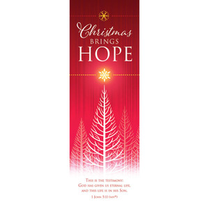 Bookmark - Christmas - Christmas Brings Hope - 1 John 5:11 - NIV - Pack of 25 Bookmark - Christmas - Christmas Brings Hope - 1 John 5:11 - NIV - Pack of 25