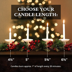 Candlelight Service Set of 250 Vigil Candles 4.25" x 1/2" and Plastic Candle Holders