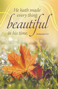 Church Bulletin 11" - Inspirational - Praise - He Made Everything Beautiful (Pack of 100) Church Bulletin 11" - Inspirational - Praise - He Made Everything Beautiful (Pack of 100)