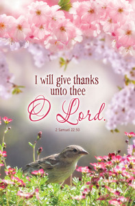Church Bulletin 11" - Inspirational - Praise -  Give Thanks (Pack of 100) Church Bulletin 11" - Inspirational - Praise -  Give Thanks (Pack of 100)