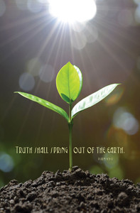 Church Bulletin 11" - Inspirational - Praise - Truth Shall Spring (Pack of 100) Church Bulletin 11" - Inspirational - Praise - Truth Shall Spring (Pack of 100)