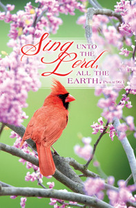 Church Bulletin 11" - Praise & Worship (Pack of 100) Church Bulletin 11" - Praise & Worship (Pack of 100)