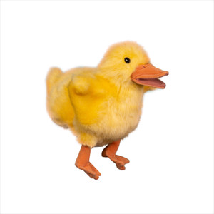 Preschool, Pre-K & K (Ages 2-5) Daffodil the Duck Puppet - Gospel Light - Year A