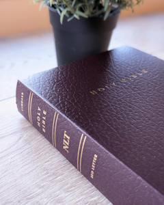 NLT Gift & Award Bible (Imitation Leather, Burgundy) - Bulk Case of 24