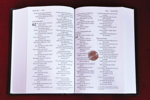 NIV Pew Bible, Large Print (Hardcover, Black) - Bulk Case of 12