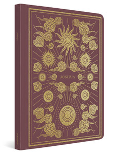 ESV Illuminated Scripture Journal: Joshua (Paperback) - Case of 50