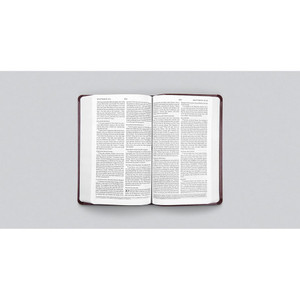 ESV Premium Gift Bible (TruTone, Mahogany, Border Design) - Case of 24