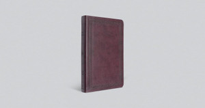 ESV Premium Gift Bible (TruTone Leather, Mahogany) - Bulk Case of 24