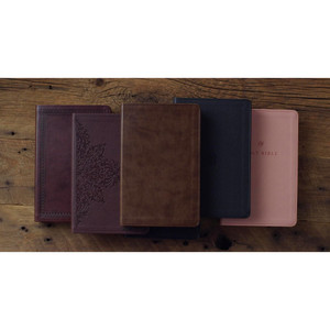 ESV Premium Gift Bible (TruTone Leather, Brown) - Bulk Case of 24