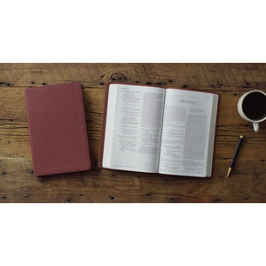 ESV Large Print Value Thinline Bible (TruTone Leather, Chestnut) - Bulk Case of 16