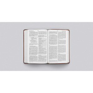 ESV Large Print Value Thinline Bible (TruTone Leather, Chestnut) - Bulk Case of 16