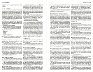 NIrV Economy Outreach New Testament, Small Print (Softcover, Green) - Bulk Case of 40