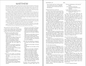 NIrV Outreach Bible, Children (Paperback, Blue) - Bulk Case of 24