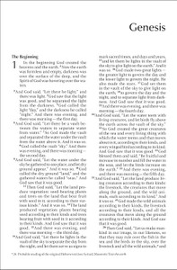 NIV Outreach Bible, Large Print (Paperback) - Bulk Case of 16