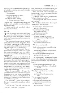 NIV Outreach Bible, Large Print (Paperback) - Bulk Case of 16