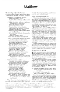 NIV Outreach New Testament (Paperback, Red/Blue Stripes) - Bulk Case of 64