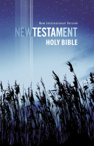 NIV Outreach New Testament, Updated (Paperback) - Bulk Case of 64