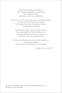 NIrV Free on the Inside Bible, Large Print (Paperback) - Bulk Case of 14