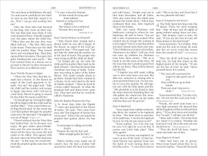 NIrV Free on the Inside Bible, Large Print (Paperback) - Bulk Case of 14