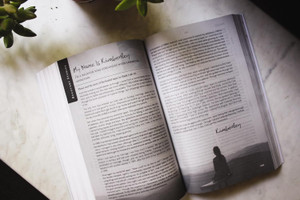 NIV Celebrate Recovery Study Bible (Paperback) 35th Anniversary Edition - Bulk Case of 12