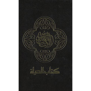 NAV Arabic Contemporary Bible, Large Print (Hardcover, Black) - Bulk Case of 16 NAV Arabic Contemporary Bible, Large Print (Hardcover, Black) - Bulk Case of 16