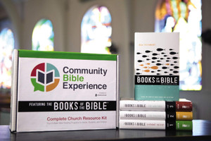 NIV The Books of the Bible: The Writings - Hardcover (Case of 20)