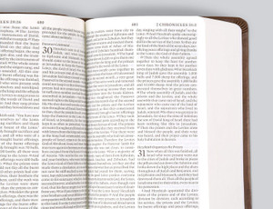 ESV Value Large Print Compact Bible (TruTone, Teal, Ornament Design) - Case of 28