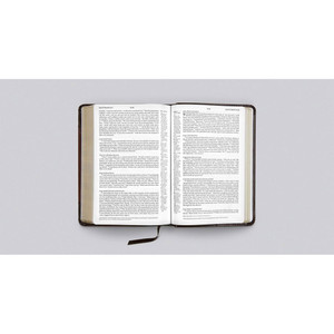 ESV Personal Reference Bible (TruTone, Brown/Walnut, Portfolio Design) - Case of 24