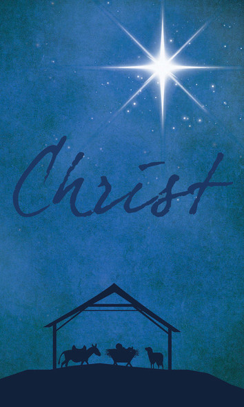 Church Banner - Christmas - Christ - B11205