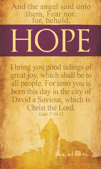 Church Banner - Christmas - Hope - B42221