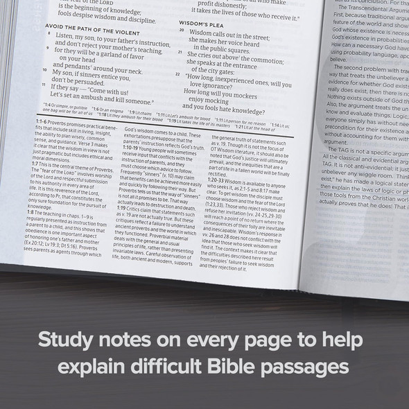 CSB Apologetics Study Bible, Indexed (Leather Touch, Mahogany) - Bulk Case of 12