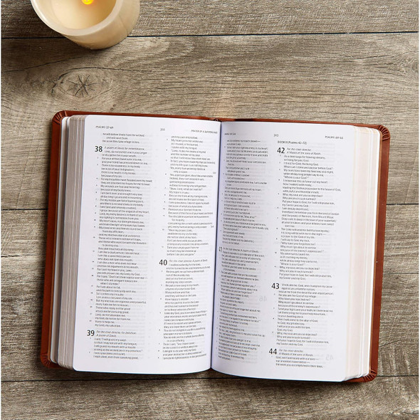 CSB Deluxe Gift Bible (LeatherTouch, Brown) - Bulk Case of 24