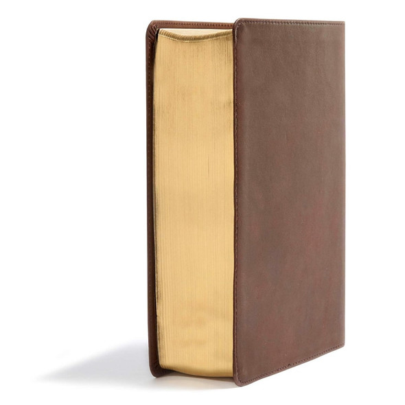 CSB He Reads Truth Bible, Devotional (Genuine Leather, Brown) - Bulk Case of 12