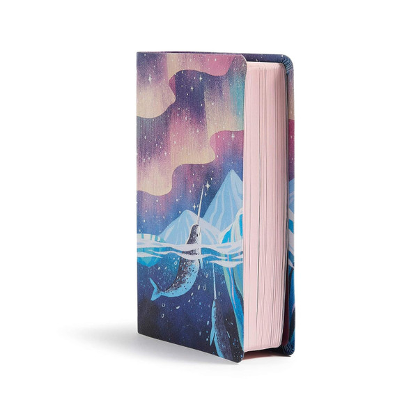 CSB Kids Bible, Large Print (Leather Touch, Narwhal) - Bulk Case of 12