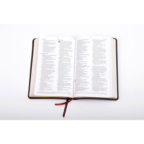 CSB Ultrathin Bible, Brown LeatherTouch