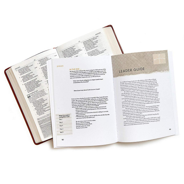 Jonah: Navigating a Life Interrupted DVD Leader Kit by Priscilla Schirer - Lifeway Women's Bible Study