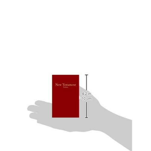 KJV Economy New Testament with Psalms (Softcover, Burgundy) - Bulk Case of 230