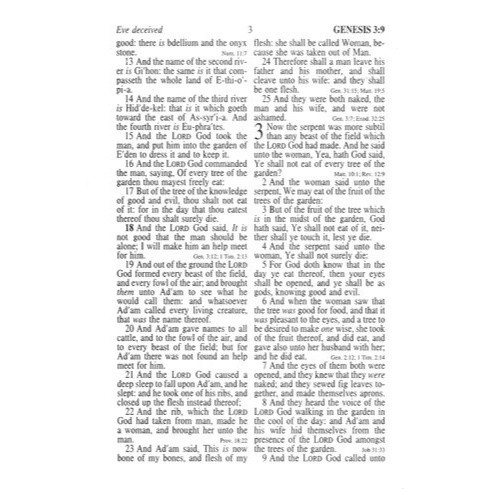 KJV Large Print Compact Military Bible, Large Print (Bulk Case of 24)