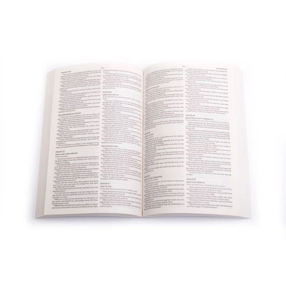 KJV Outreach Bible
