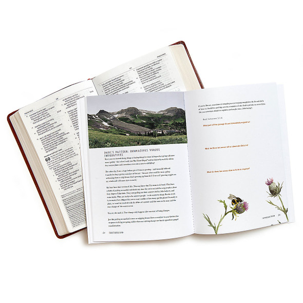 Truthfilled: The Practice of Preaching to Yourself through Every Season - Leader Kit by Ruth Chou Simons - LifeWay