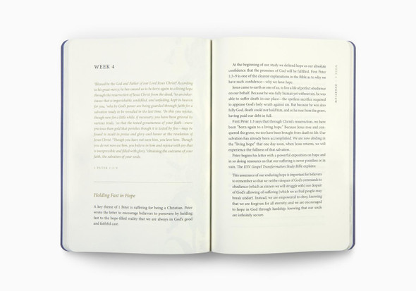 ESV Prayer Journal: 30 Days on Hope (Paperback) - Set of 10