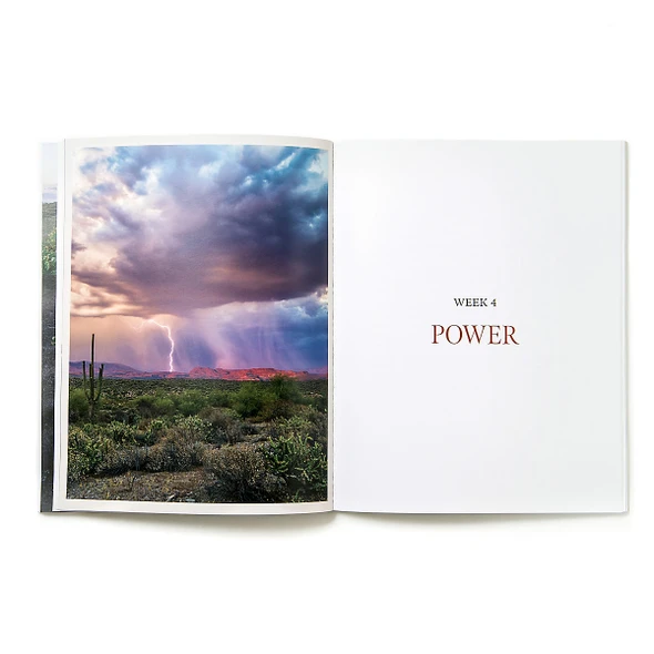 Exodus, Storyteller, Bible Study Book