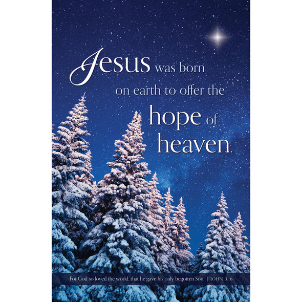 Church Bulletin - 11" - Christmas - Hope of Heaven - John 3:16 - Pack of 100 - U4358