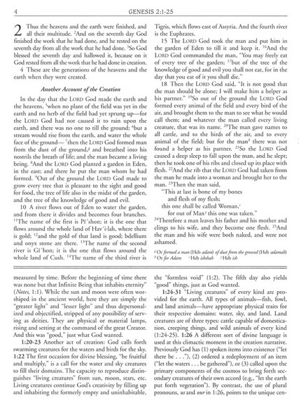 NRSV Wesley Study Bible, Sage Thicket Decotone