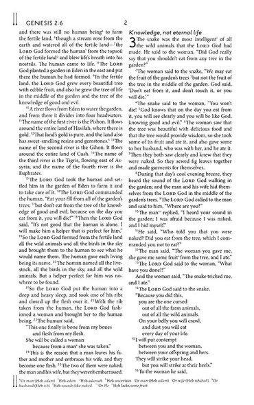 CEB Pew Bible - Navy
