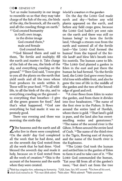 CEB Pew Bible - Large Print - Navy